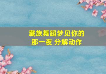 藏族舞蹈梦见你的那一夜 分解动作